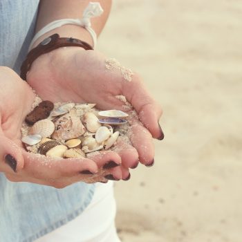 Teilausschnitt einer Person, die am Strand Muscheln in ihren Händen hält