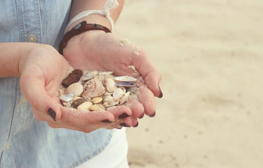 Teilausschnitt einer Person, die am Strand Muscheln in ihren Händen hält
